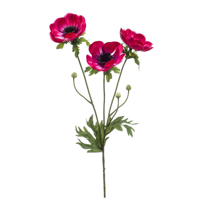 Anemoner