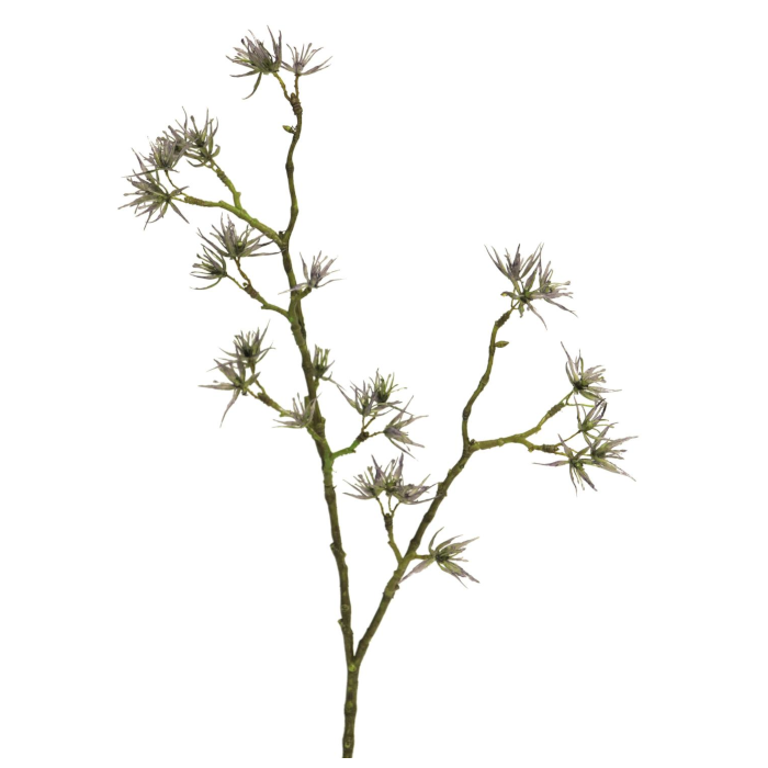 Bergnejlikrot