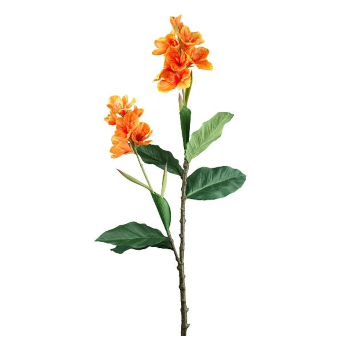 Blomrör