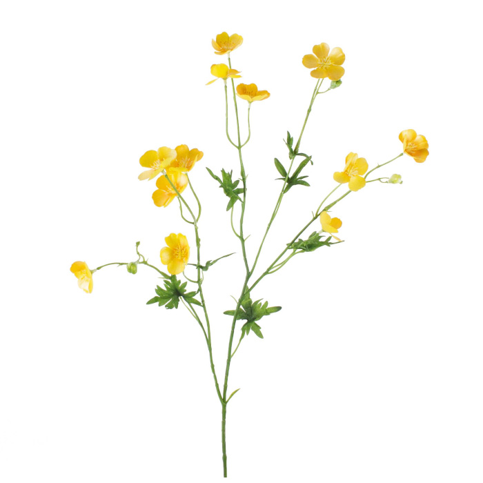Smörblomma