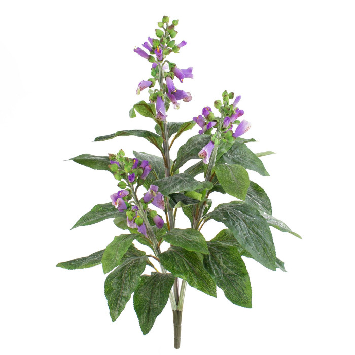 Fingerborgsblomma