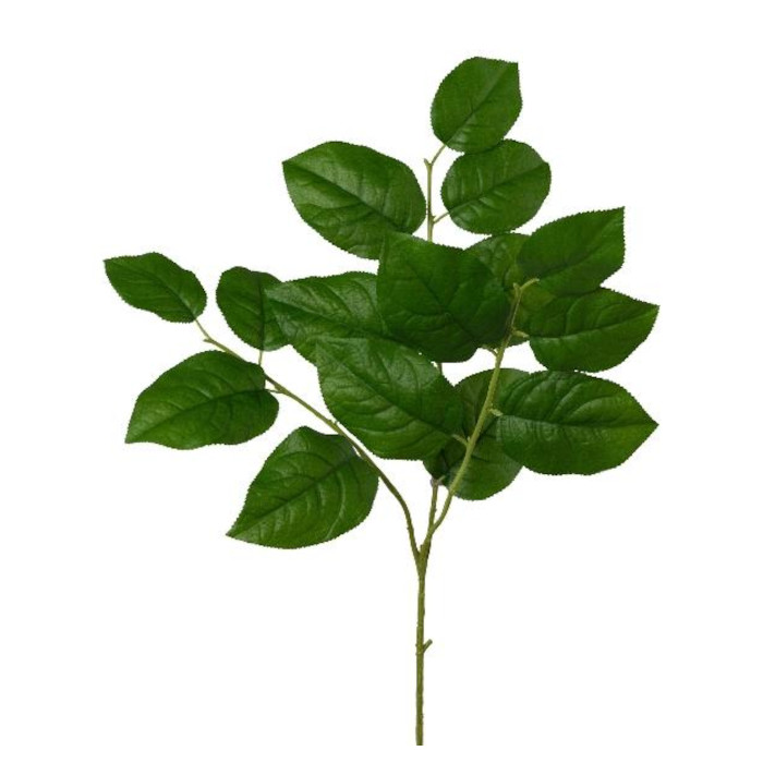 Handroanthus