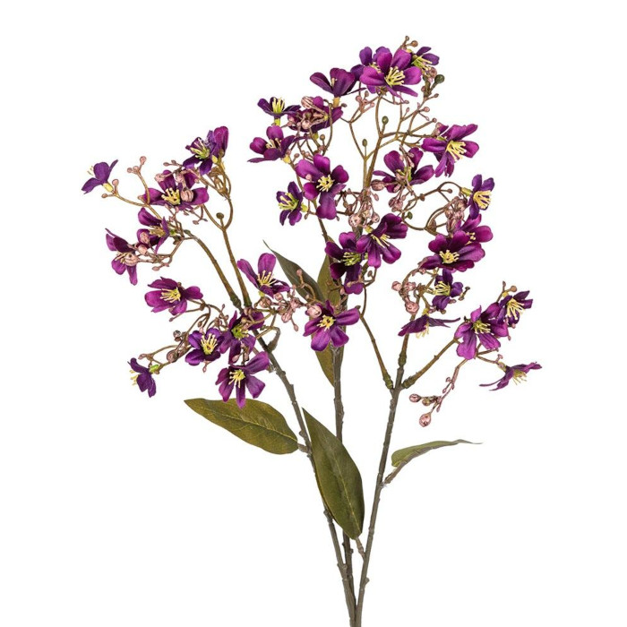 Heliophila