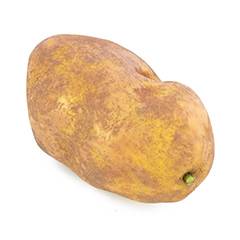 Potatis