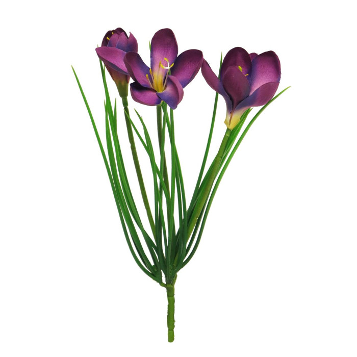 Krokus