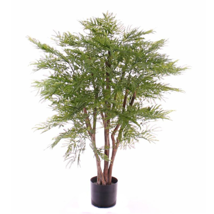 Mimosaträd