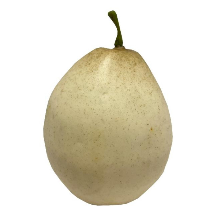 Nashipäron