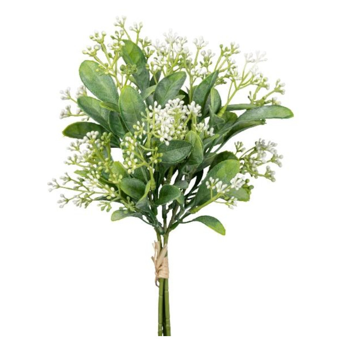 Vinruta