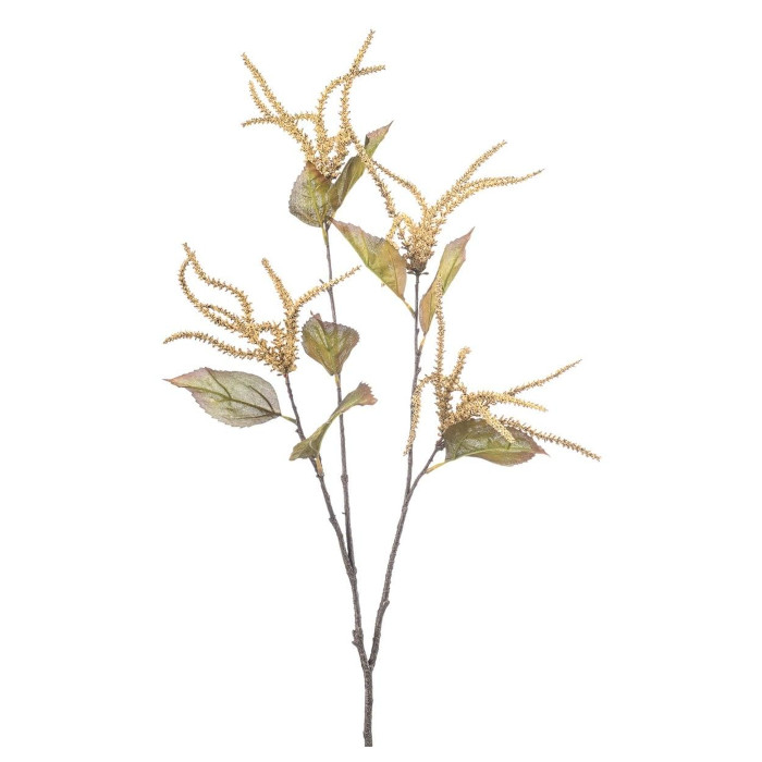 Pekanträd