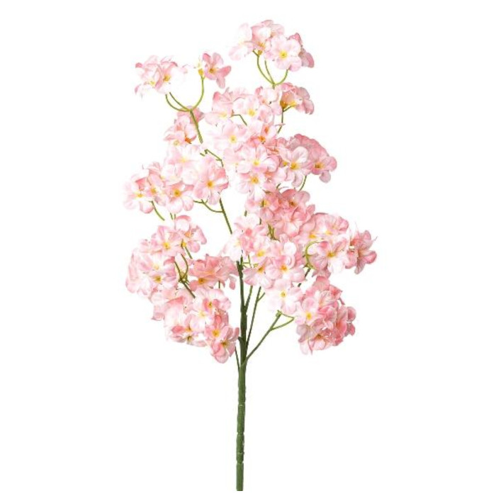 Flox