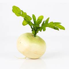 Rättika