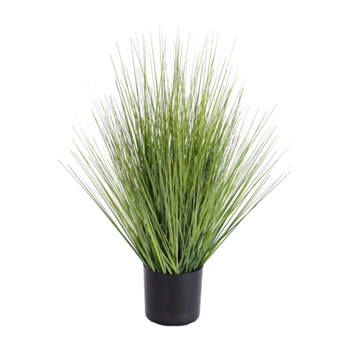 Jungfruhirs