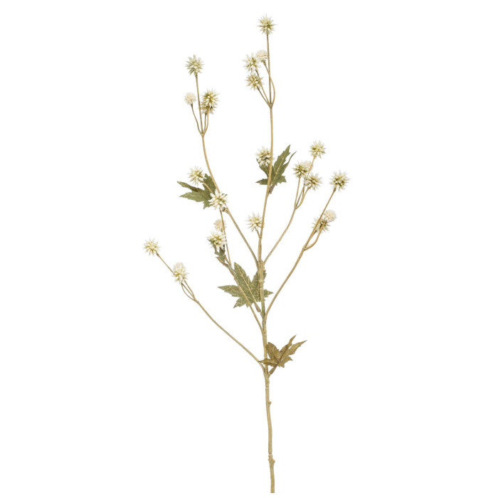 Sårläka