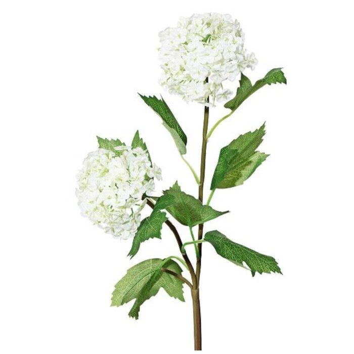 Olvon blommor