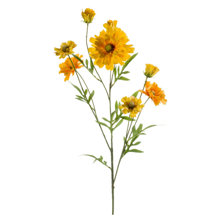 Solbrud
