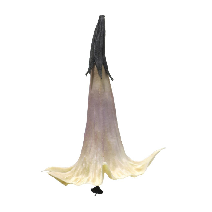 Spikklubba