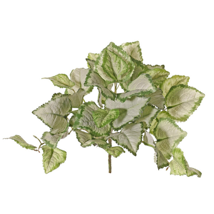 Blomsternässla