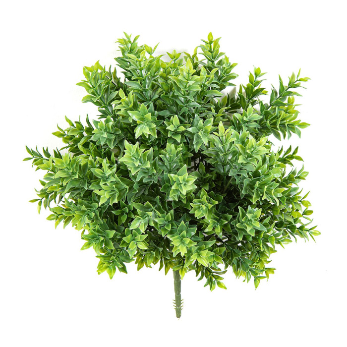Häckberberis