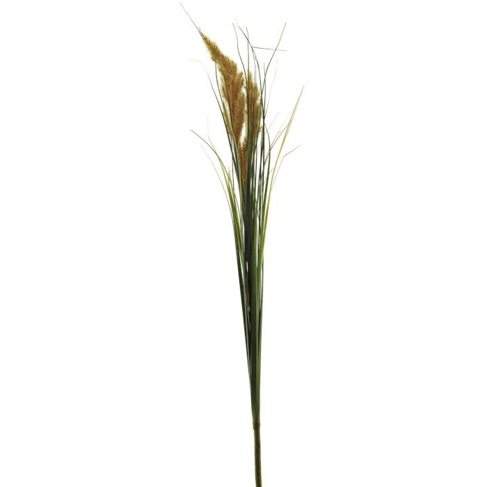 Timotej