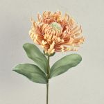Konstgjord blomma nåldyna Protea av plastskum ISLARTINA, kräm-aprikos, 75cm