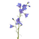 Konstgjord klockblomma GISELA, blå, 65cm, Ø1-4cm