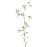Konstgjord klockblomma GISELA, vit, 65cm, Ø1-4cm