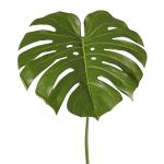 Konstgjord växt, Monstera-blad THALWIL, 60cm