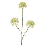 Dekorativ alliumkvist ALIKIO, vit, 65cm, Ø7cm