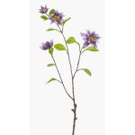Dekorativ kvist av klättervin RUHNA, lila, 75cm