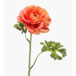 Konstblomma ranunkel KRISTY, laxros-orange, 60cm, Ø10cm
