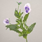 Konstgjord penségren SILANA, vit-violett, 30cm, Ø3-6cm