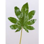 Konstgjort aralieblad SALVATORE, grönt, 70cm