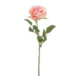 Konstgjord ros BRUNETTE, rosa-krämfärgad, 70cm, Ø11cm
