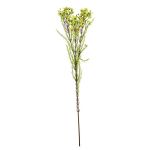 Konstgjord kvist med vaxblomma MEDEA, grön-cerise, 80cm, Ø6cm