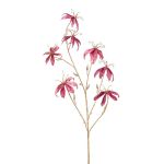 Sammet Gloriosa KAZBEK, antikrosa-guld, 110cm