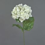 Hortensia i plast MONA, krämfärgad, 70cm, Ø15cm