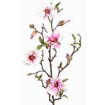 Konstgjord magnoliagren MARGA, rosa-cerise, 80cm, Ø7-8cm