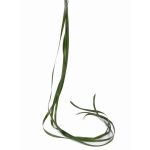 Konstgräs, starr JURO, 6 strån, grönt, 120cm, Ø1cm