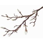 Konstgjord magnoliagren ASANI, vit, 70cm, Ø1-2cm