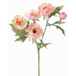 Konstgjord gren med pion LARDUAN, Eco Collection, rosa-vit, 60cm, Ø7cm