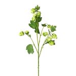 Konstgjord kvist humle DRIHOL med blommor, grön, 75cm