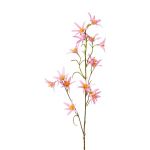 Dekorativ kvist Tweedia solanoides ZORHIL, metallicrosa, 75cm