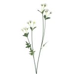 Dekorativ kvist med prästkragar KASANI, krämfärgad, 60cm