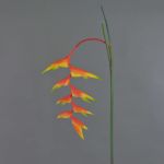 Dekorationsblomma Heliconia MEIHUA, orange-gul-grön, 95cm, Ø30cm