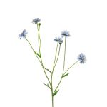 Dekorativ kvist med flockblomma TAOTAO, ljusblå, 65cm, Ø4-5cm
