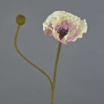 Konstblomma vallmo YILAN, rosa-vit, 60cm, Ø12cm