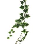 Dekorativ girland med murgröna LANSHUO, grön-vit, 180cm