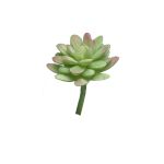 Dekorativ Sedum rubrotinctum AOLUO på stickpinne, grön-röd, 16cm
