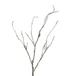 Dekorativ kvist av korkskruvspäls LIFEN, brun, 95cm