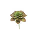 Konstgjord Echeveria morani XINYA på stödpinne, röd-grön, 17cm